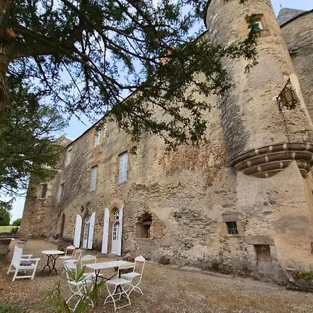 Chateau De 3* Trévien