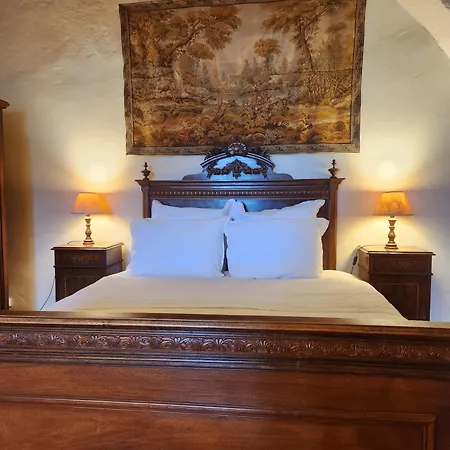 Chateau De Bed and Breakfast Trévien